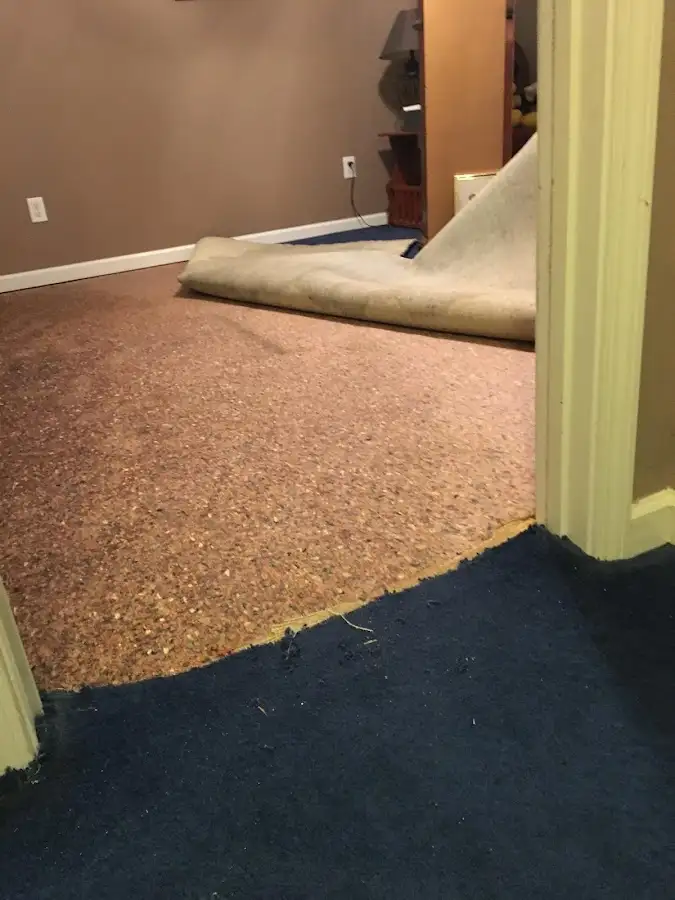 Carpet pad removal revealing water damage during Water Mitigation Services in Schaumburg