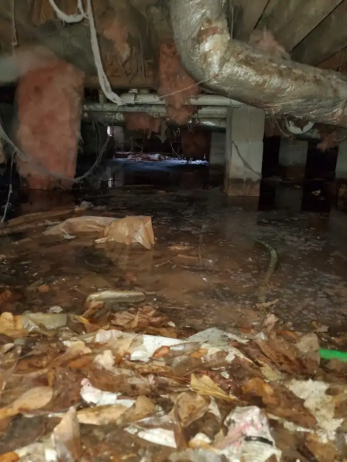 Crawl space flood assessment for Leak Detection & Repair in Schaumburg